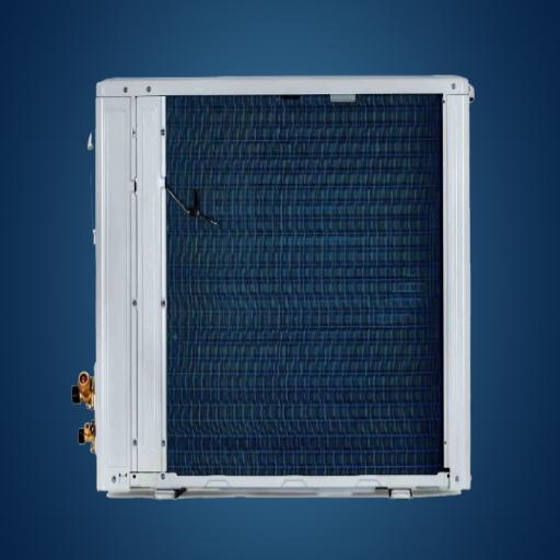 Blue Star 3 Ton Non-inverter 1